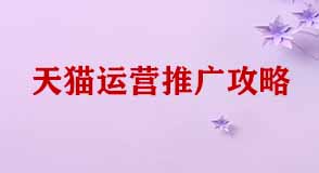 天貓運(yùn)營(yíng)推廣