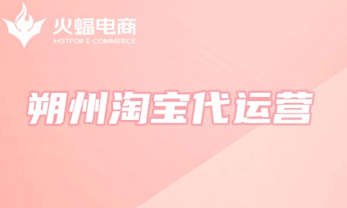 朔州淘寶代運(yùn)營(yíng)